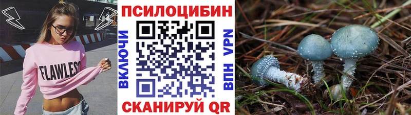 Галлюциногенные грибы ЛСД  Ясногорск 